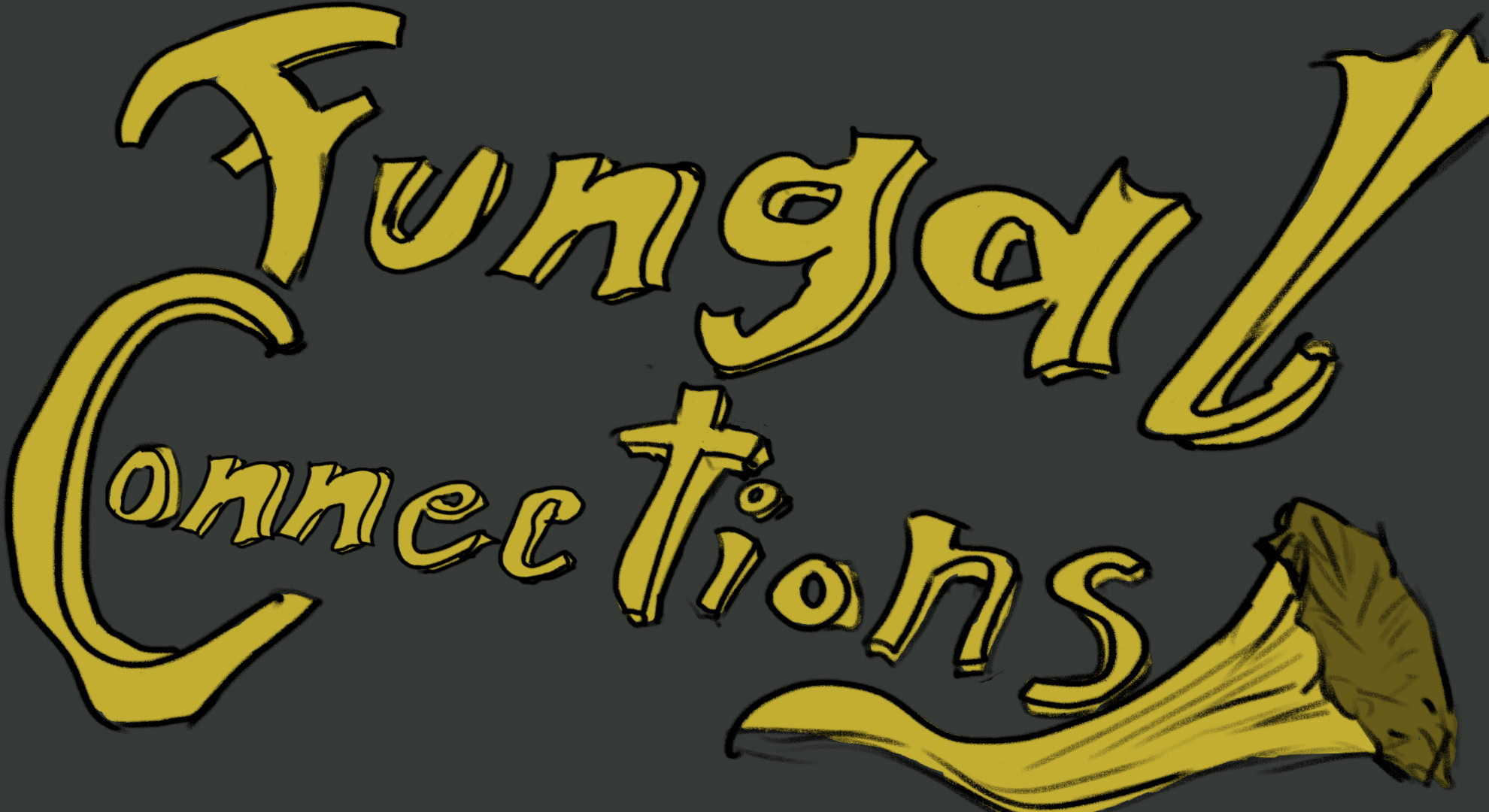 Fungal Connections