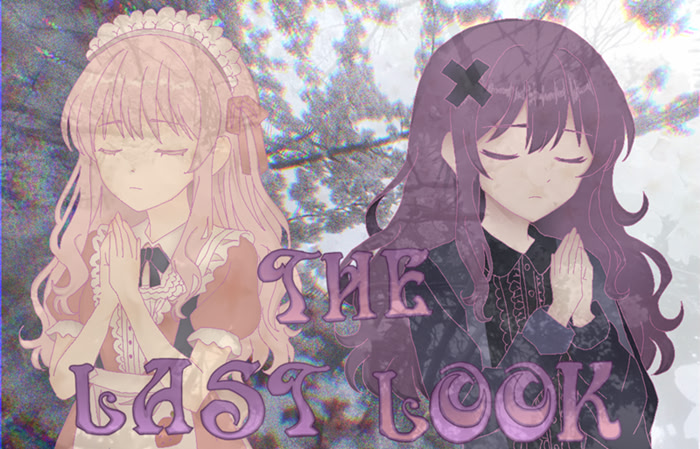 The Last Look