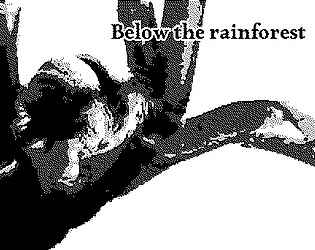 Below the Rainforest