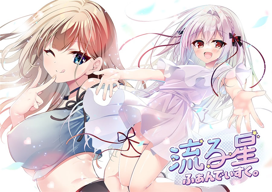 Nagaruboshi Fandisk.