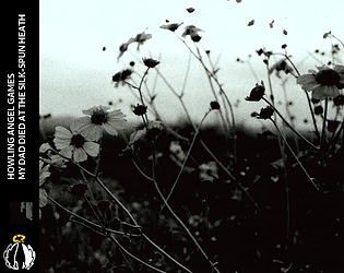 My Dad Died at the Silk: Spun Heath