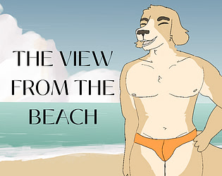 The View From The Beach